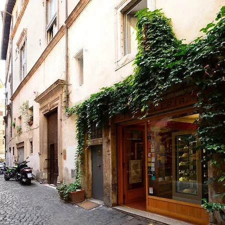 Navona Charming Flat 公寓 罗马